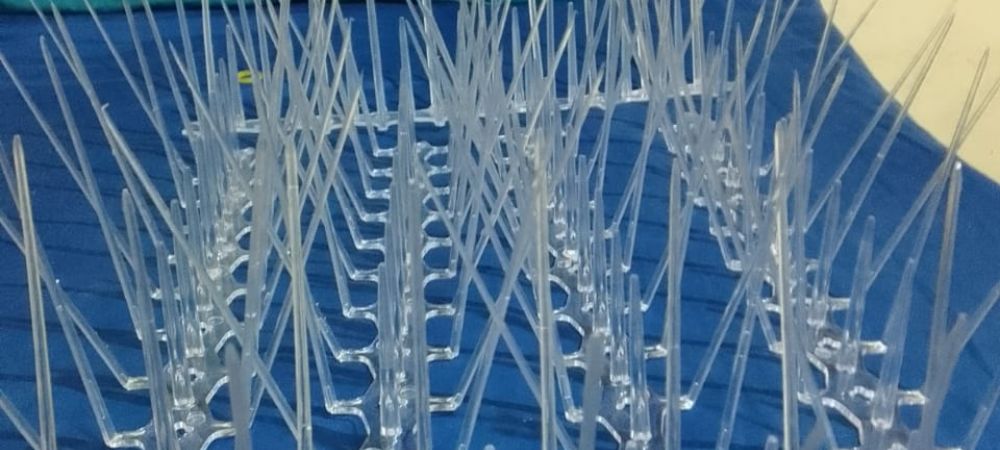 Bird and Pigeon Control Spikes in Pune