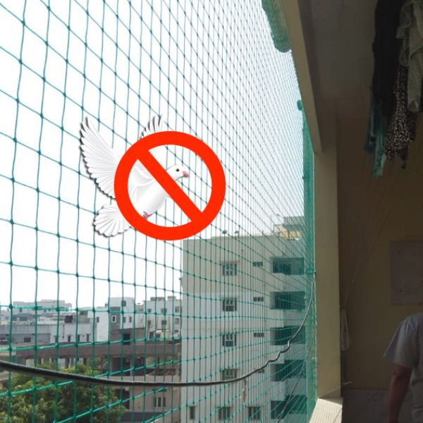 Pigeon Protection Nets in Pune